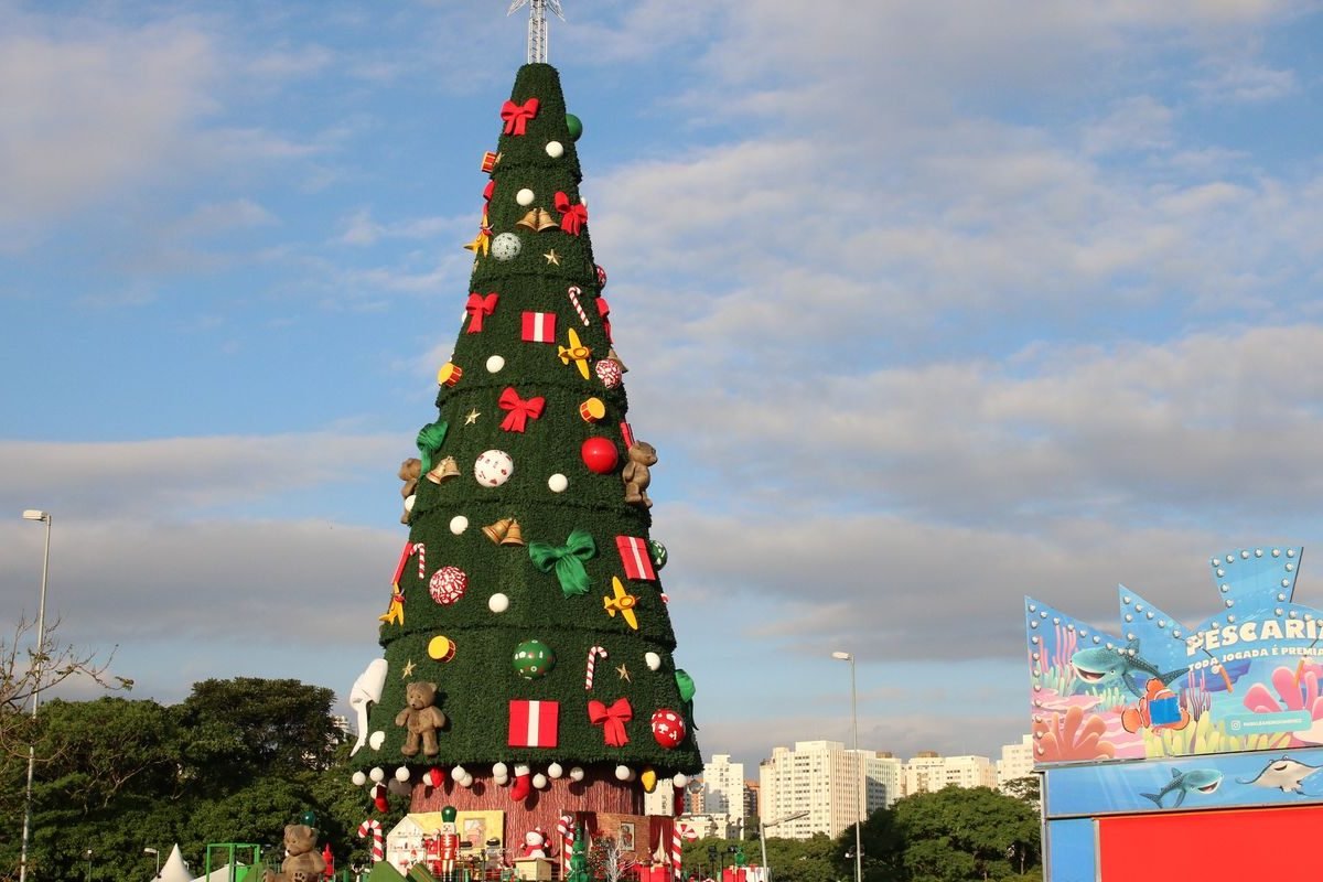 © Rovena Rosa/Agência Brasil