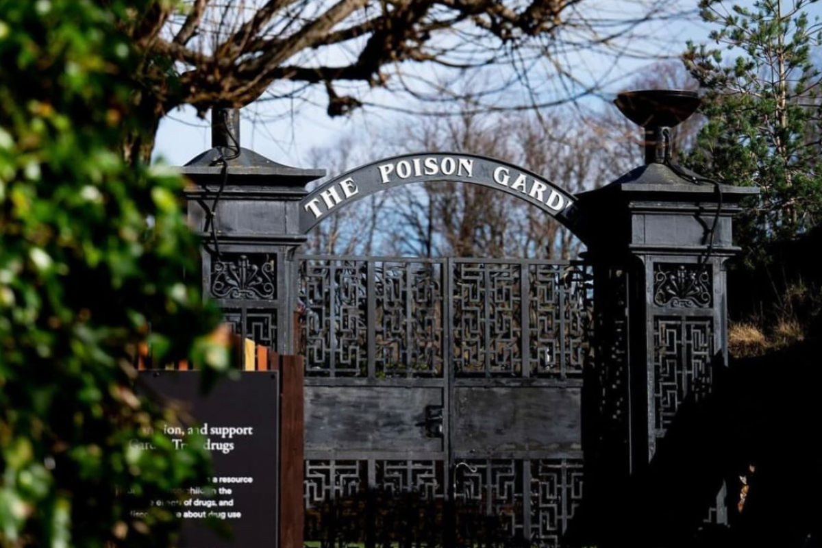 Um jardim venenoso por escolha