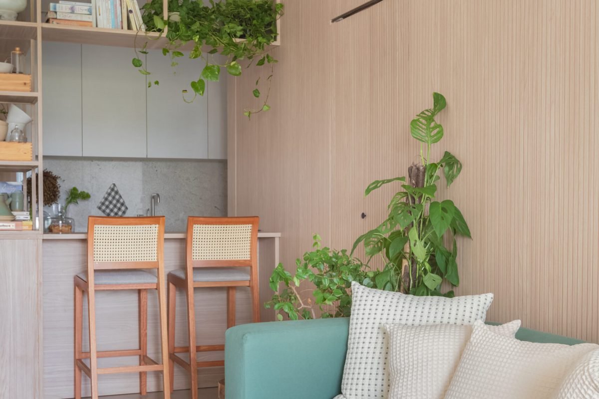 Entropia Arquitetura